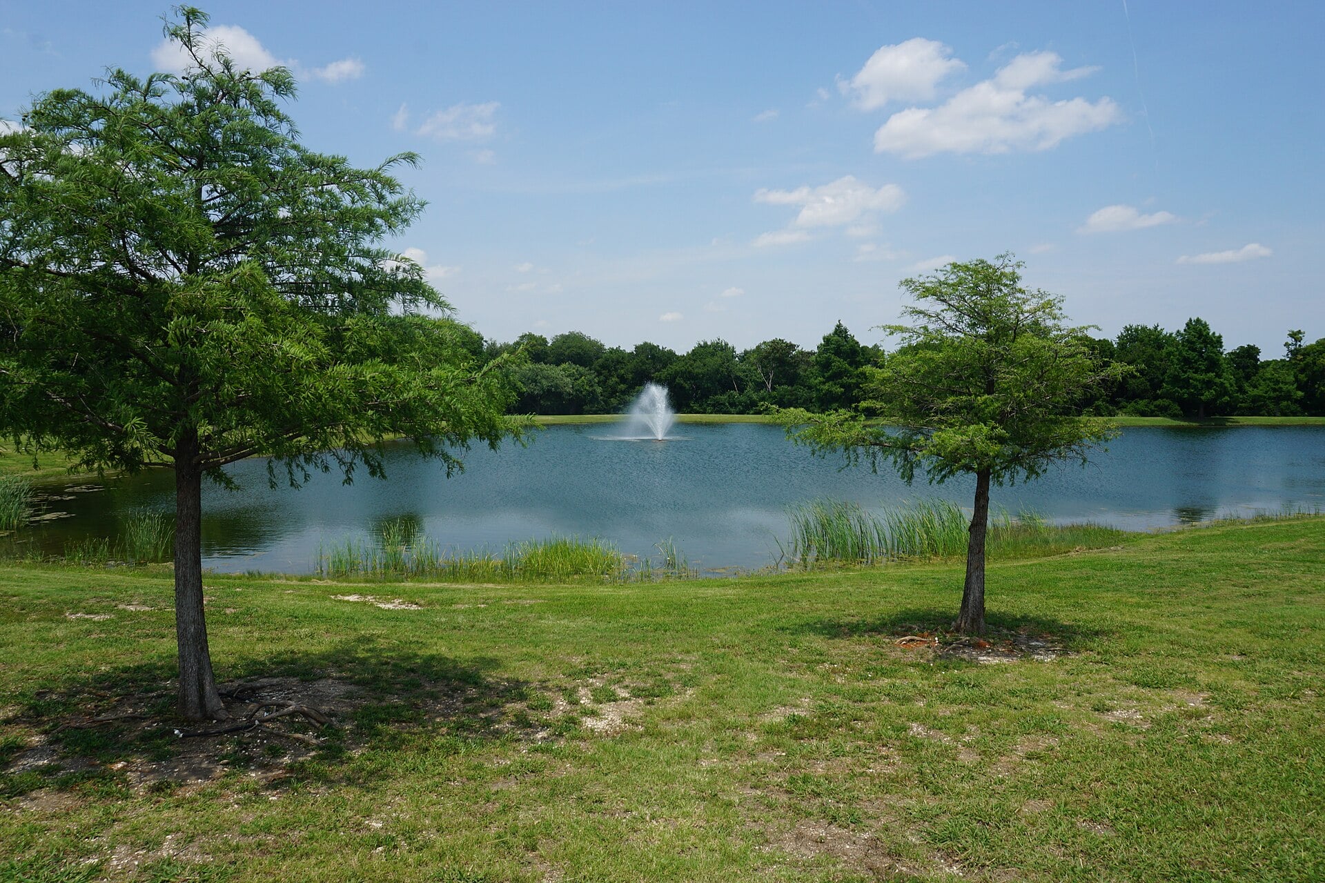Pond and trees at Frisco Commons public park in Frisco, Texas