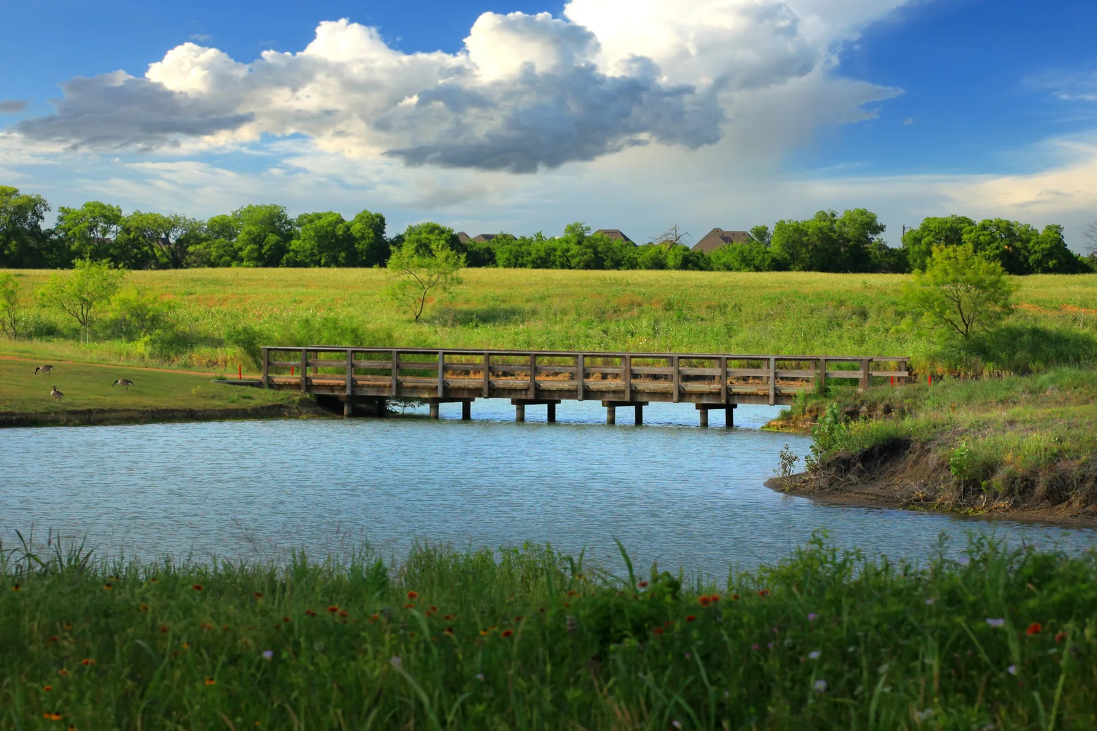 Developer amenities-gallery photograph of The Tribute landscape, water, and bridge
